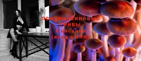 твердый Балахна